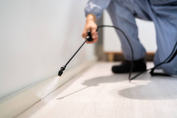 Certified termite inspector examining foundation in Johnstonville