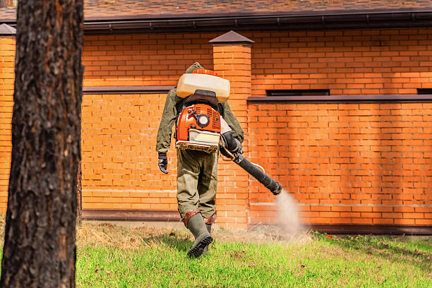 Bed Bug Clearance Verification and Documentation in Johnstonville